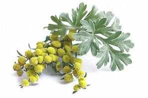 üröm kivonat NEOfloraxban